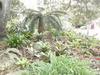 AU_2010-04-24_013.JPG